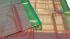 PMK 1000 BUTTA SILK COT SAREES